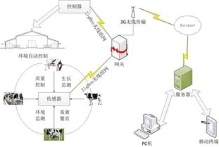 淺談農(nóng)業(yè)物聯(lián)網(wǎng) 數(shù)字化浪潮下的智慧田野